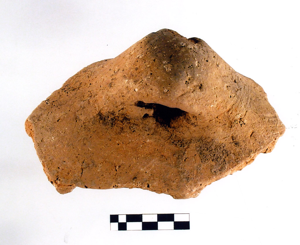 ansa - neolitico antico (prima metà V millennio millennio VI/ V a.C)