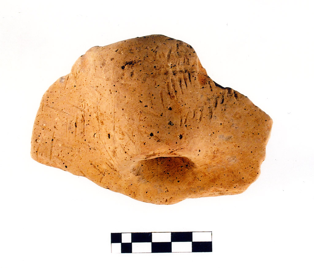 ansa - neolitico antico (prima metà V millennio millennio VI/ V a.C)