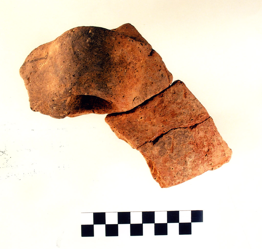 ansa - neolitico antico (prima metà V millennio millennio VI/ V a.C)