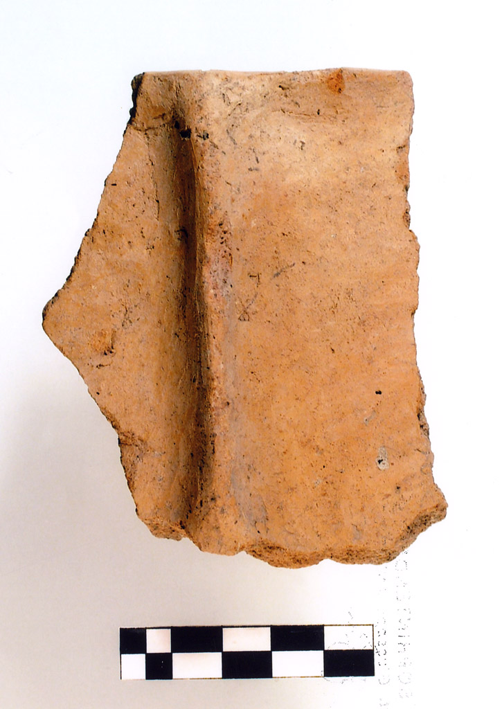 orlo/ frammento - Neolitico (millennio VI/ IV)