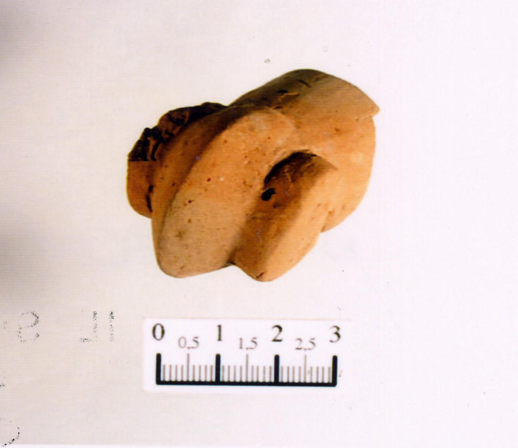 protome zoomorfa - Neolitico Medio Avanzato/ Serra d'Alto (millennio IV)