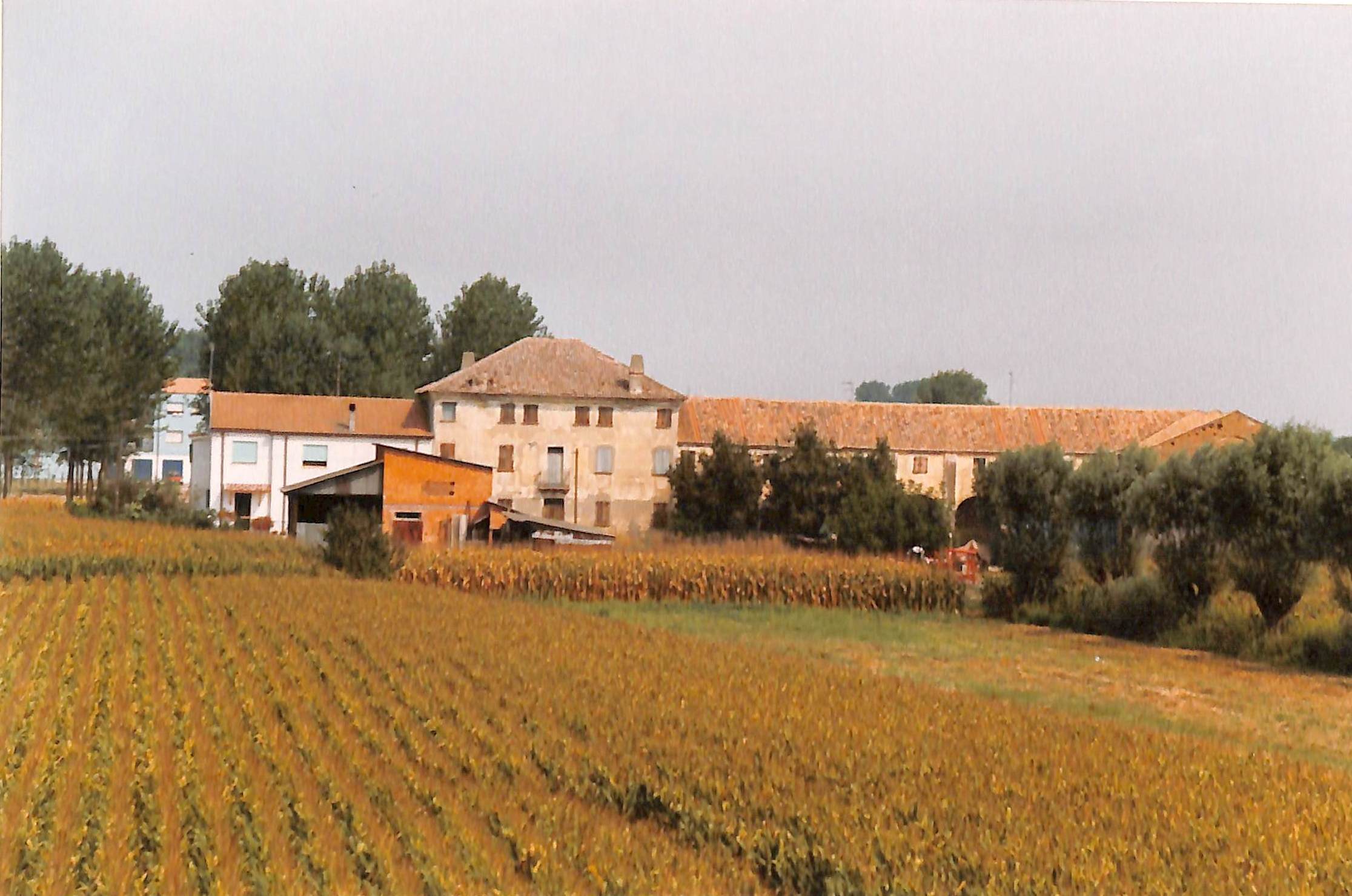Palazzo Nichetti (palazzo, padronale) - Ariano nel Polesine (RO) 