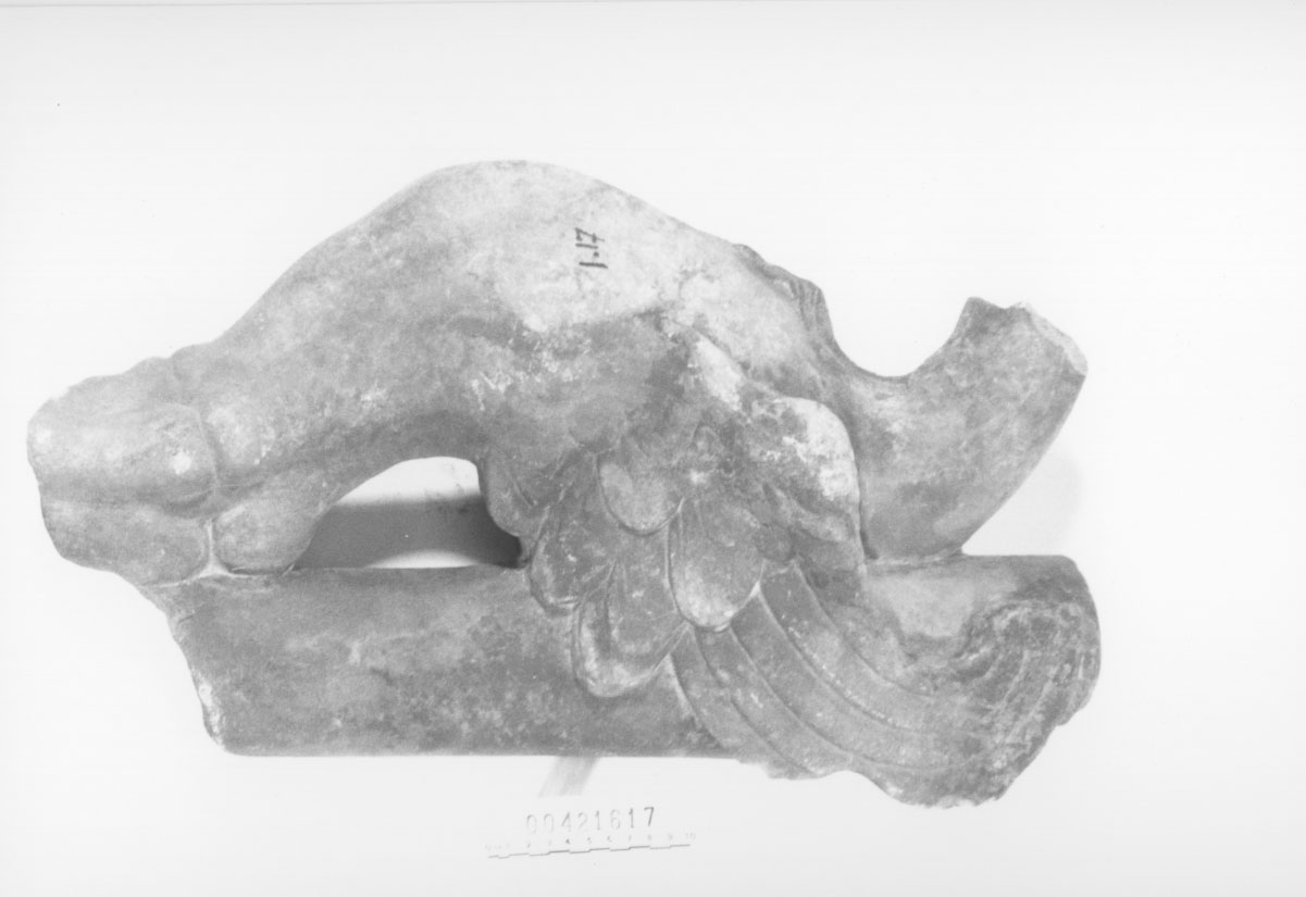 Grifo (Trapezoforo) (Seconda metÍ, Prima metÍ II d.C, III d.C)