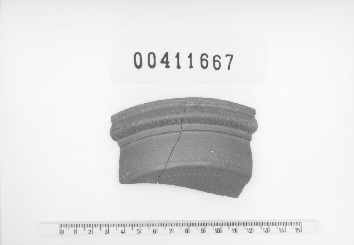 Coppa/ profilo parzialmente ricostruibile, Lamboglia, 1 b (Seconda metÍ II d.C)