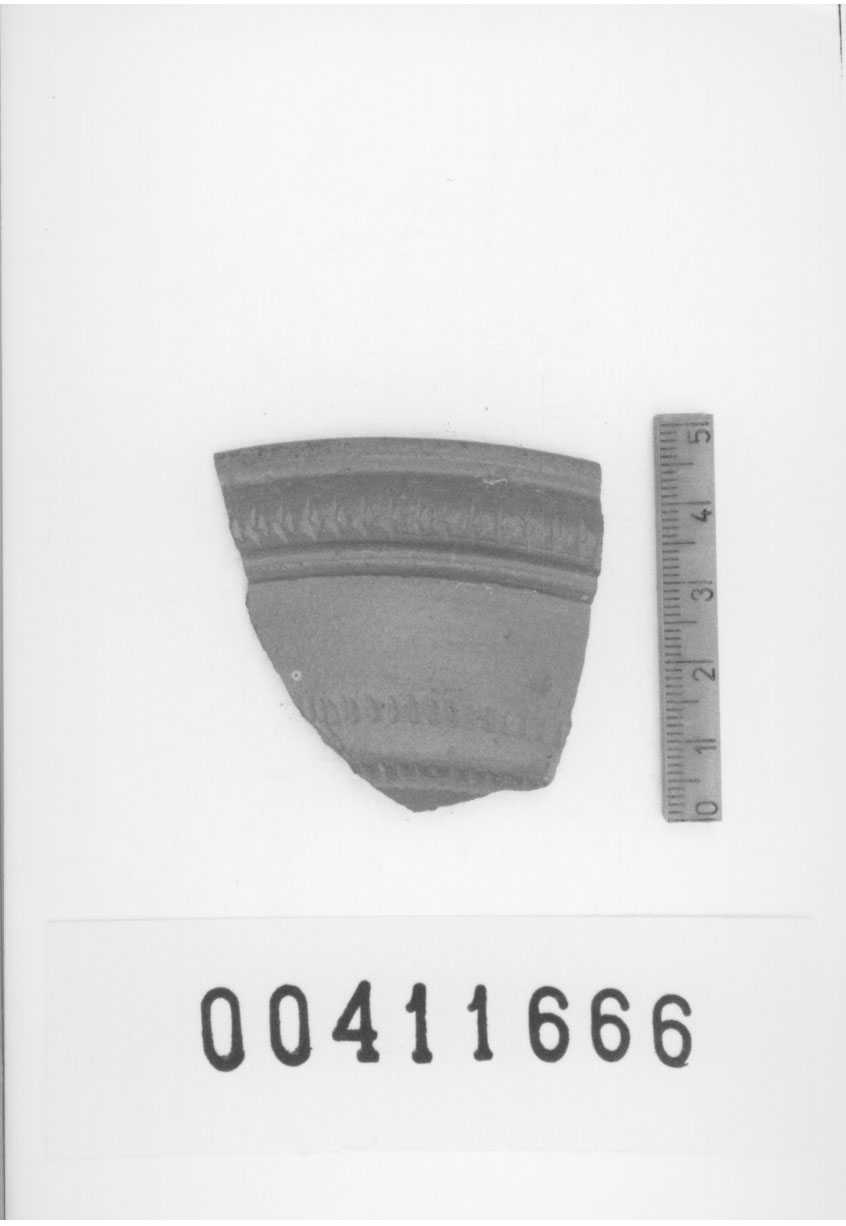 Orlo di coppa, Lamboglia, 1 b (Seconda metÍ II d.C)