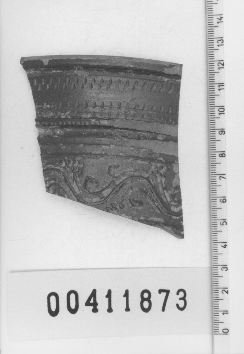 Orlo di calice, Pucci, XXX (Seconda metÍ I d.C)