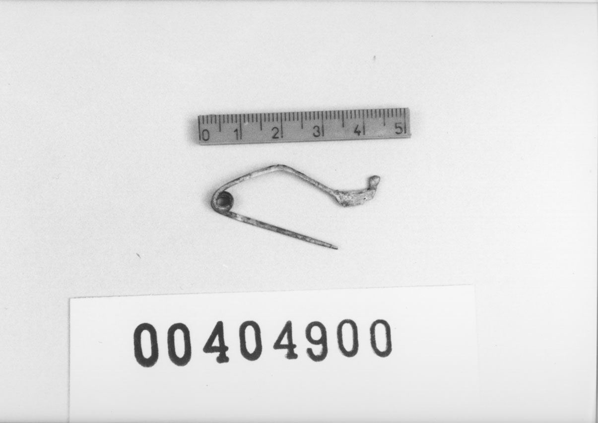 Fibula, Guzzo, tipo D-II (VI a.C, V a.C)