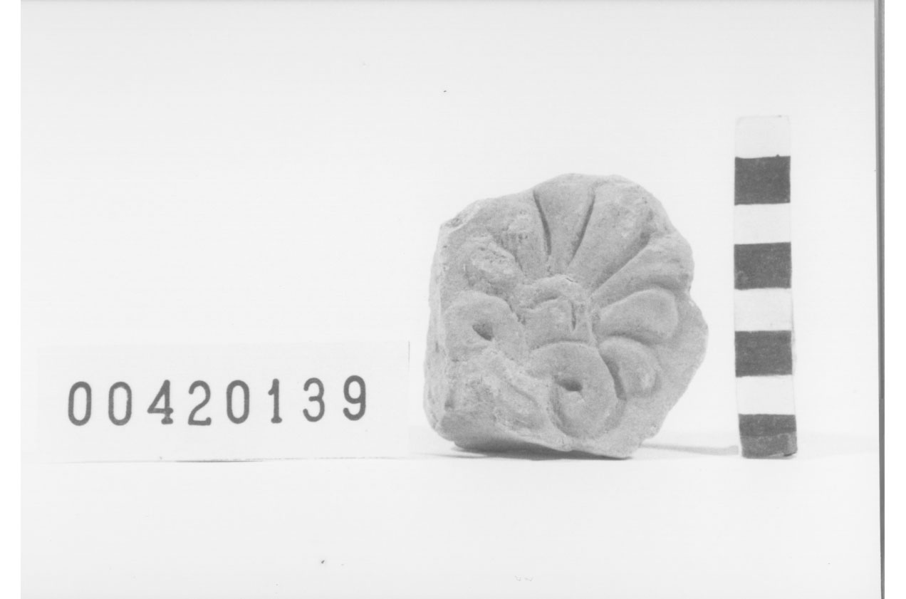 Lastra Campana/ frammento (II a.C, I a.C)