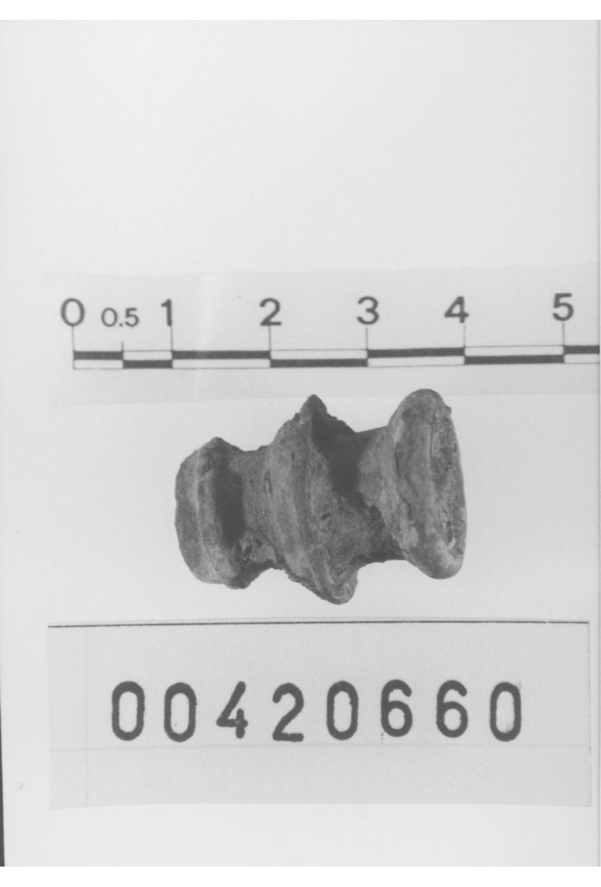 Piede (Prima metÍ II d.C)