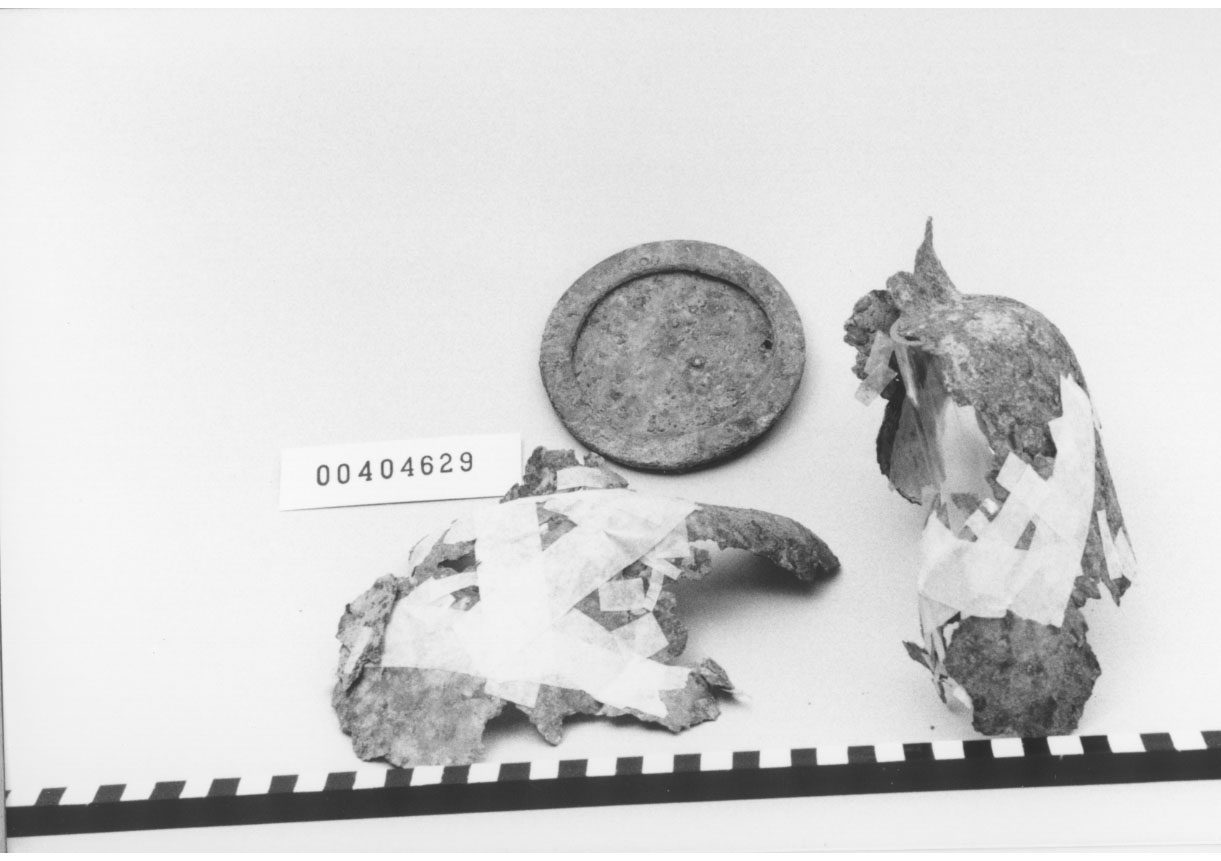 Situla/ frammenti, Giuliani Pomes, tipo C (V a.C, IV a.C)