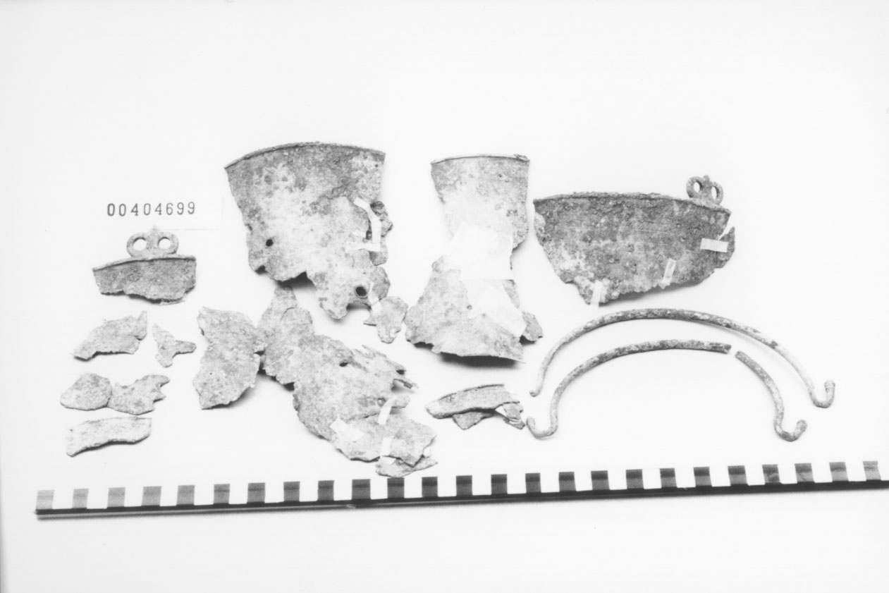 Situla, Giuliani Pomes, tipo D (V a.C, IV a.C)