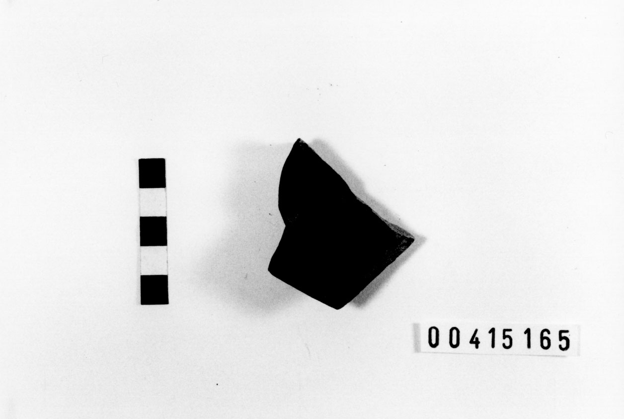 Piede, Morel, specie 211 b (III a.C, II a.C)