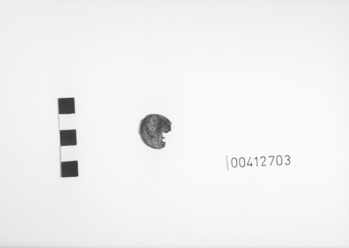 Specie monetaria non identificabile 