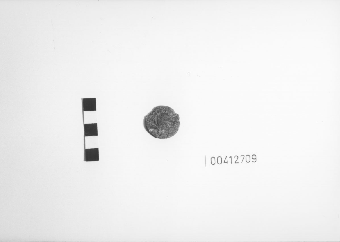 Specie monetaria non identificabile 