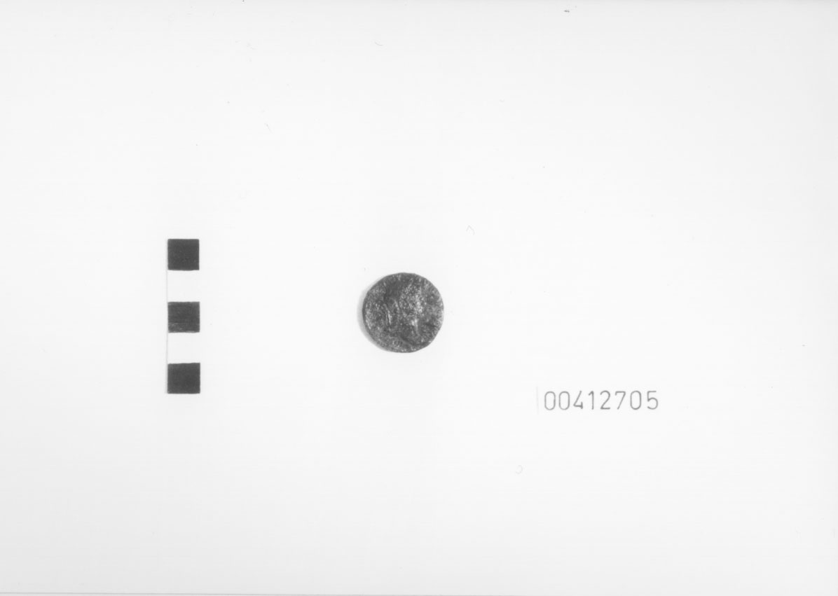 Specie monetaria non identificabile 