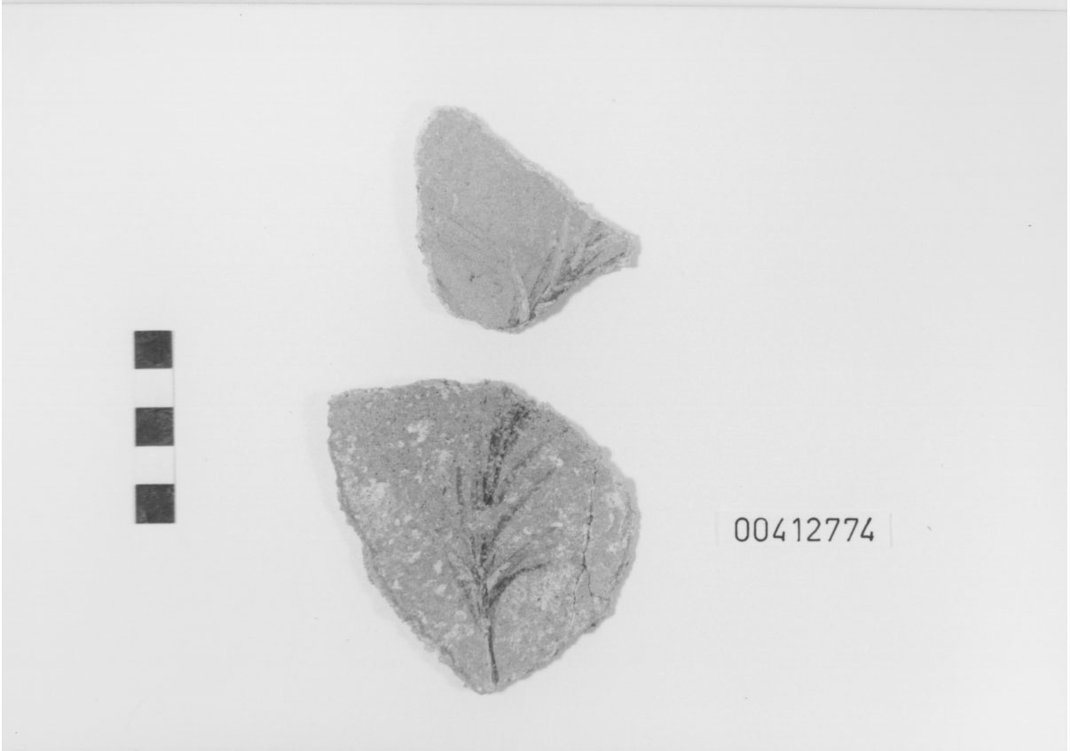 Intonaco/ frammento (I d.C)