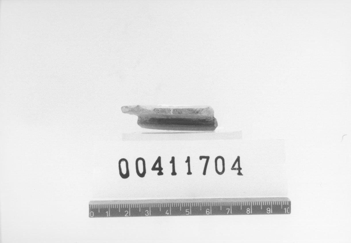 Coppa/ frammento (Seconda metÍ, Primo quarto I d.C, II d.C)