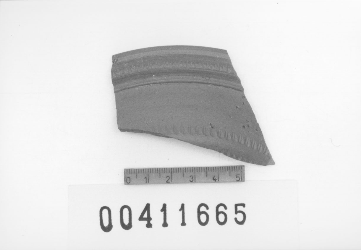 Orlo di coppa, Lamboglia, 1 b (Seconda metÃ II d.C)