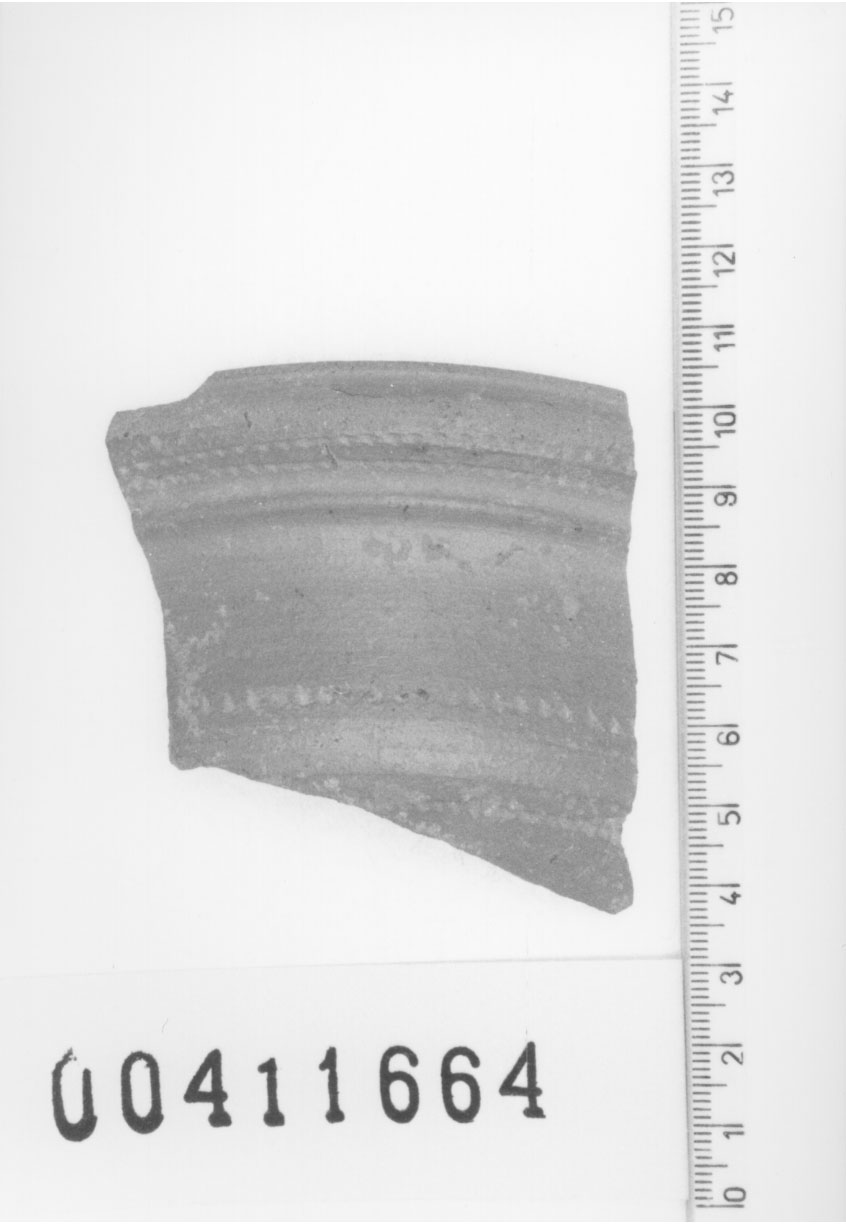 Coppa/ forma parzialmente ricostruibile, Lamboglia, 1 b (Seconda metÃ II d.C)