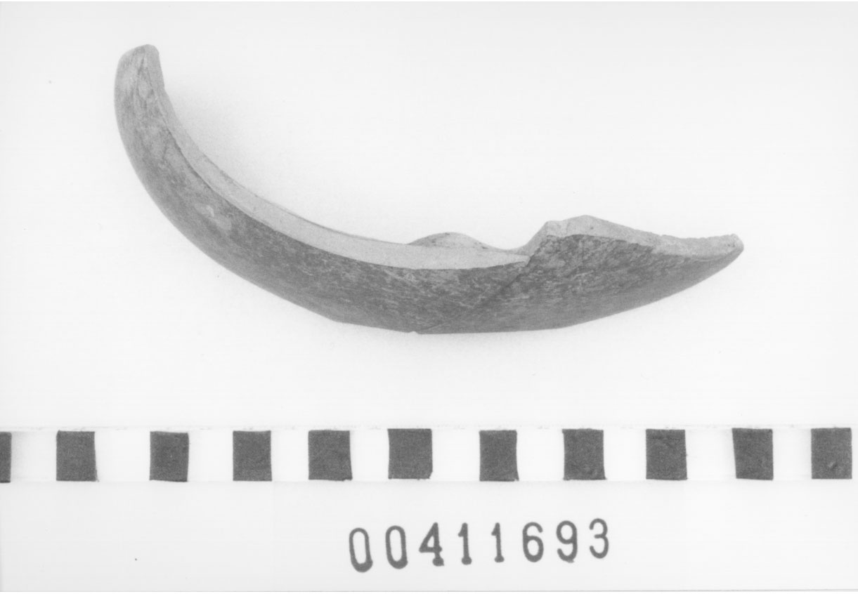 Piatto/ forma ricostruibile, Lamboglia, 9 a2 (Seconda metÃ, Prima metÃ II d.C, III d.C)