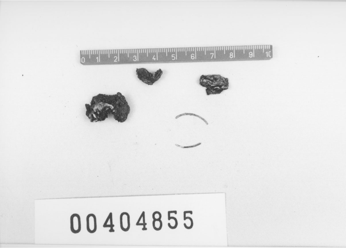 Fibula (VI a.C, V a.C)