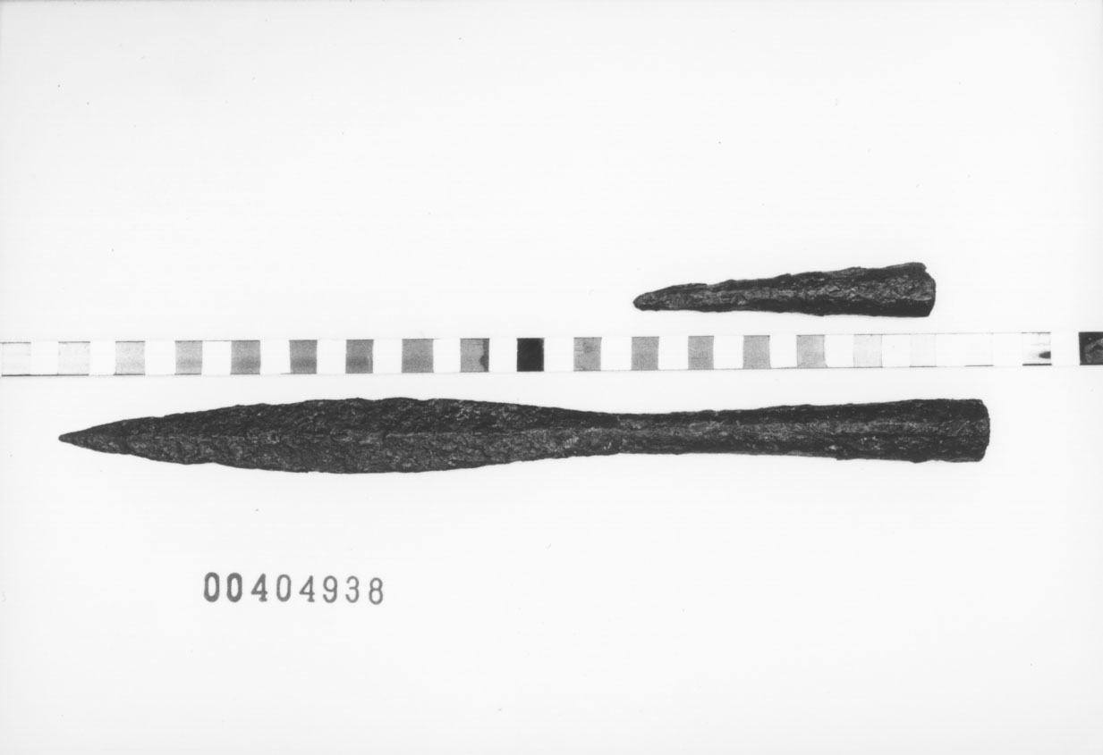 Sauroter (VI a.C, V a.C)