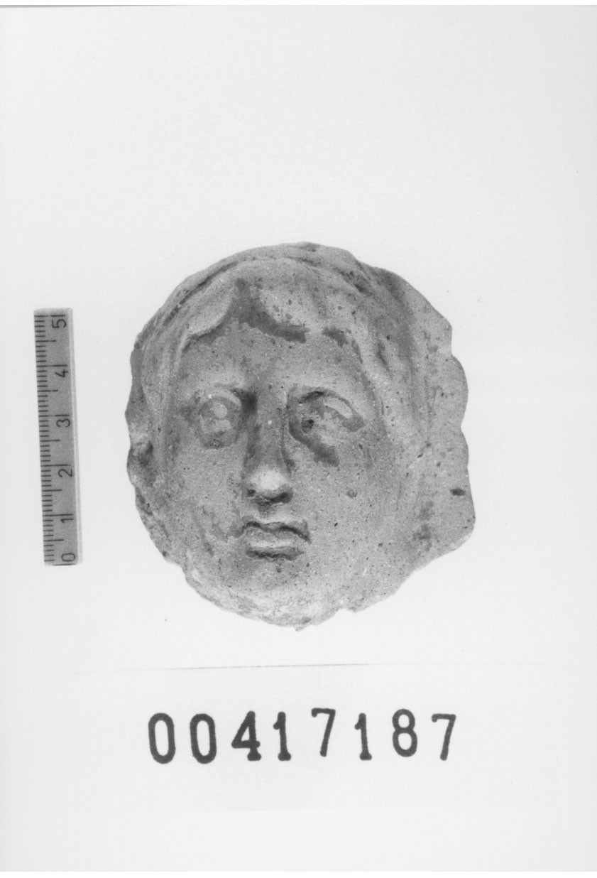 Figura maschile (Testa di statuetta) (III a.C, II a.C)