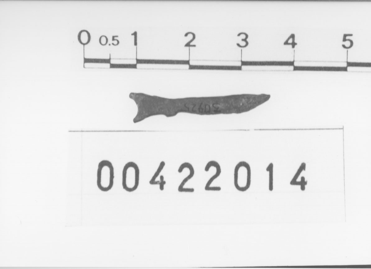 Ardiglione (Età romana)