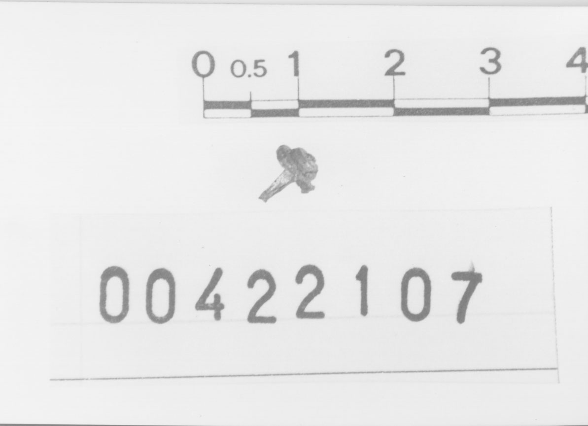 Borchia (Età romana)