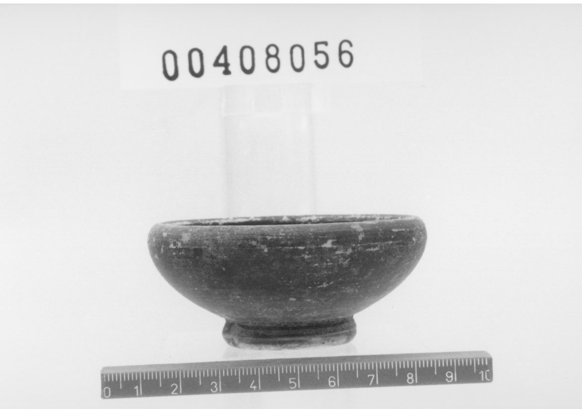 Coppetta, Morel, specie 2787 (Inizio III a.C)