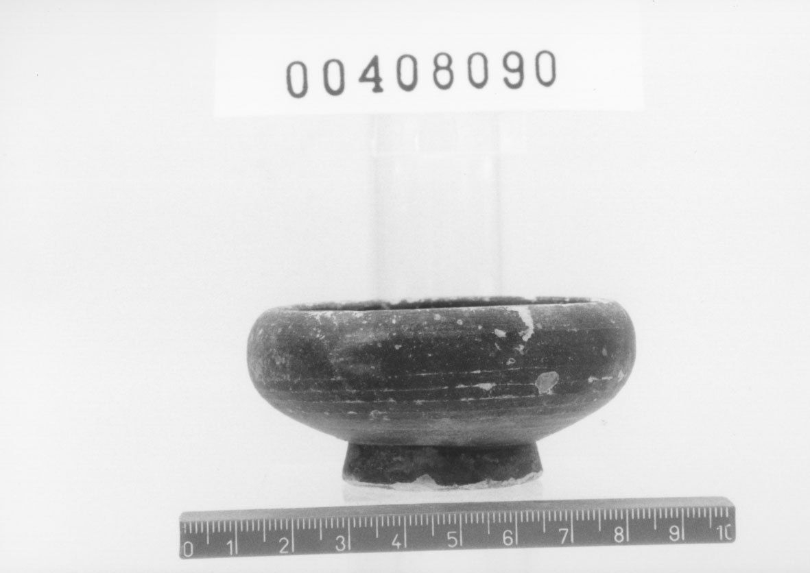 Coppetta, Morel, specie 2787 (Inizio III a.C)