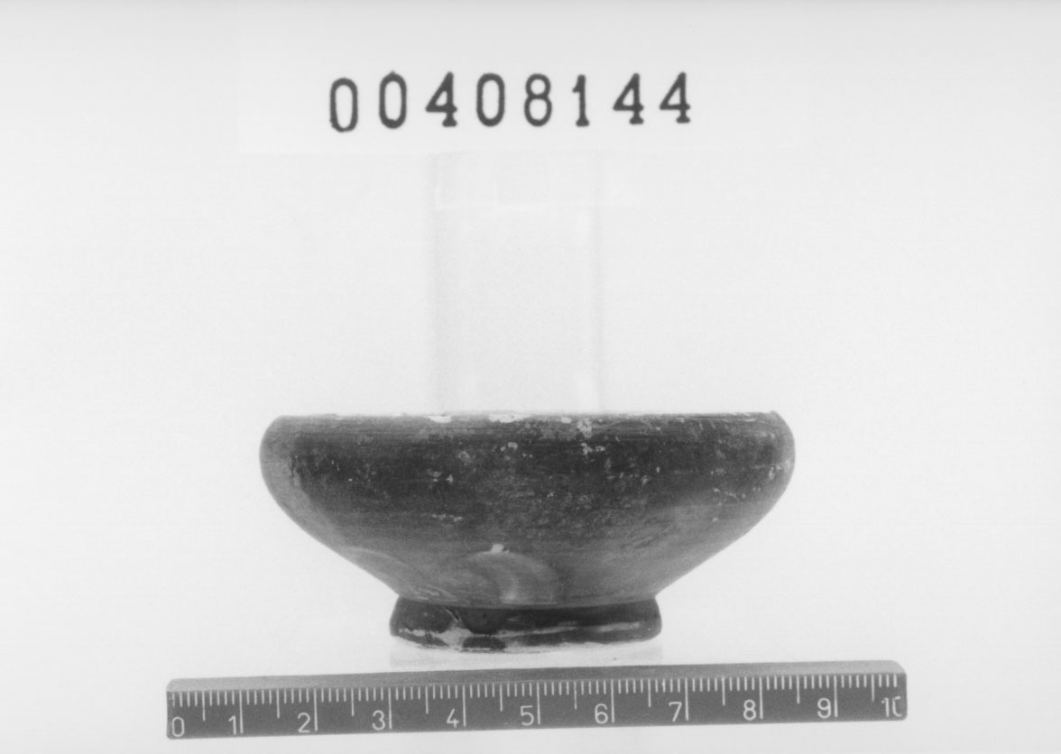 Coppetta, Morel, specie 2787 (Inizio III a.C)