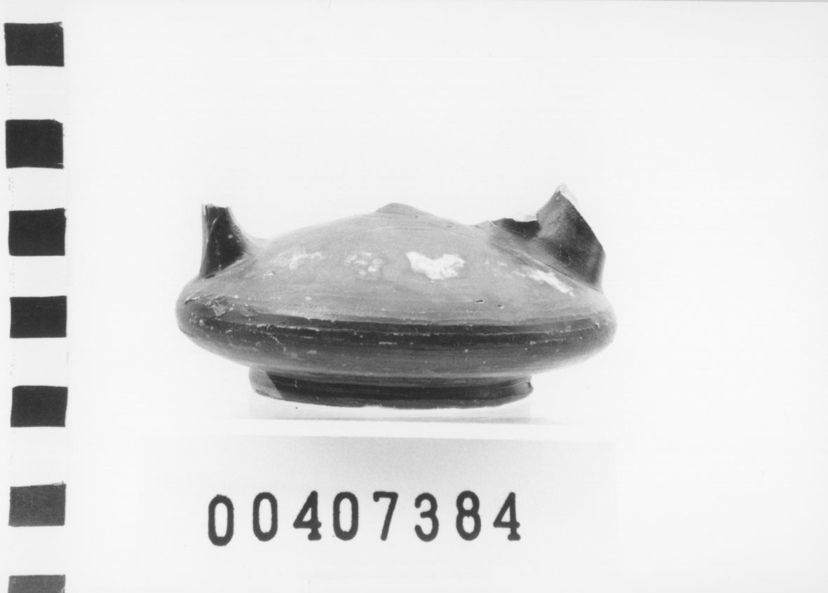 Askos lenticolare, Morel, specie 8420 (Fine, Primo quarto IV a.C, III a.C)