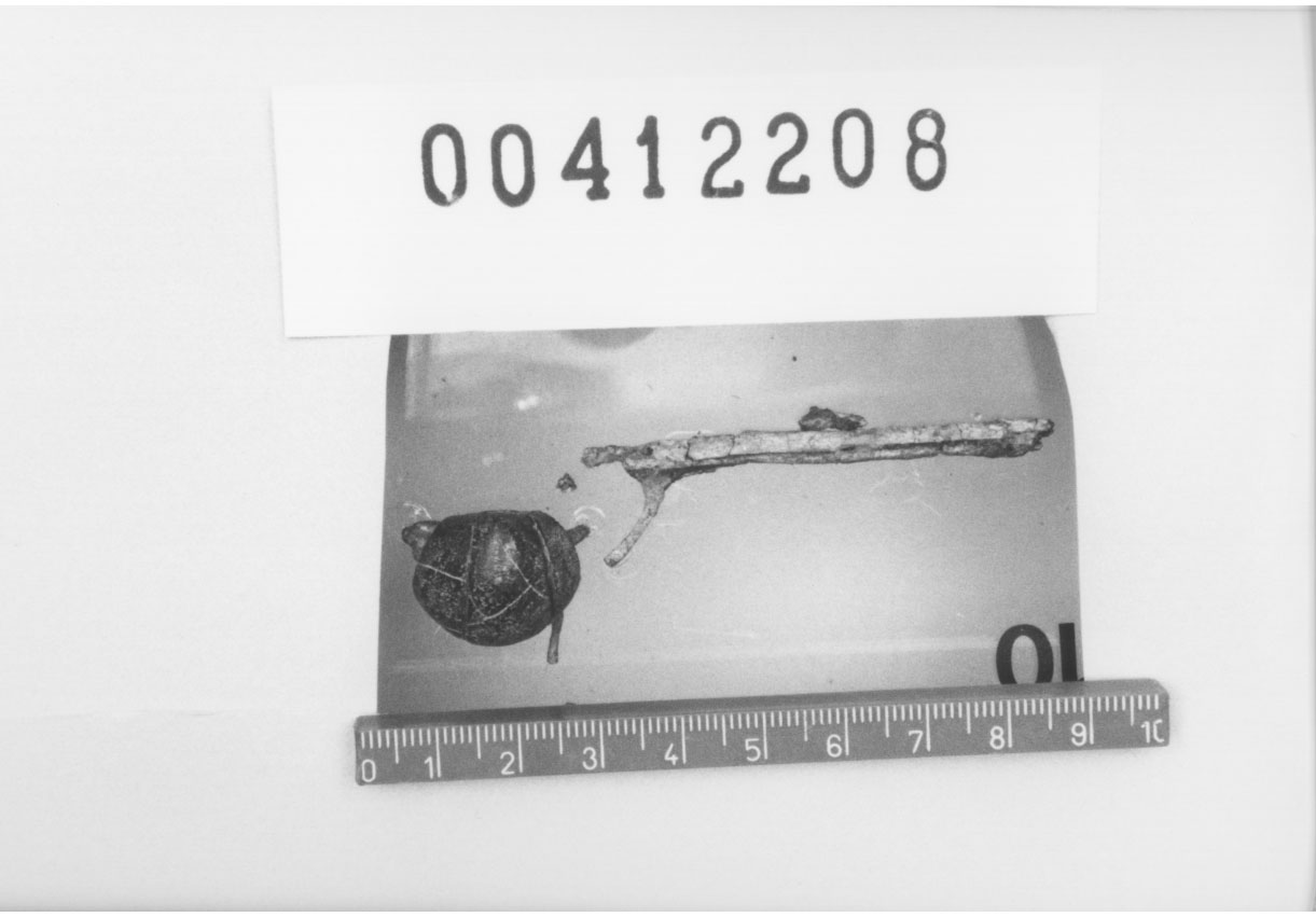 Fibula a sanguisuga con dischi d'ambra (Primo quarto VII a.C)