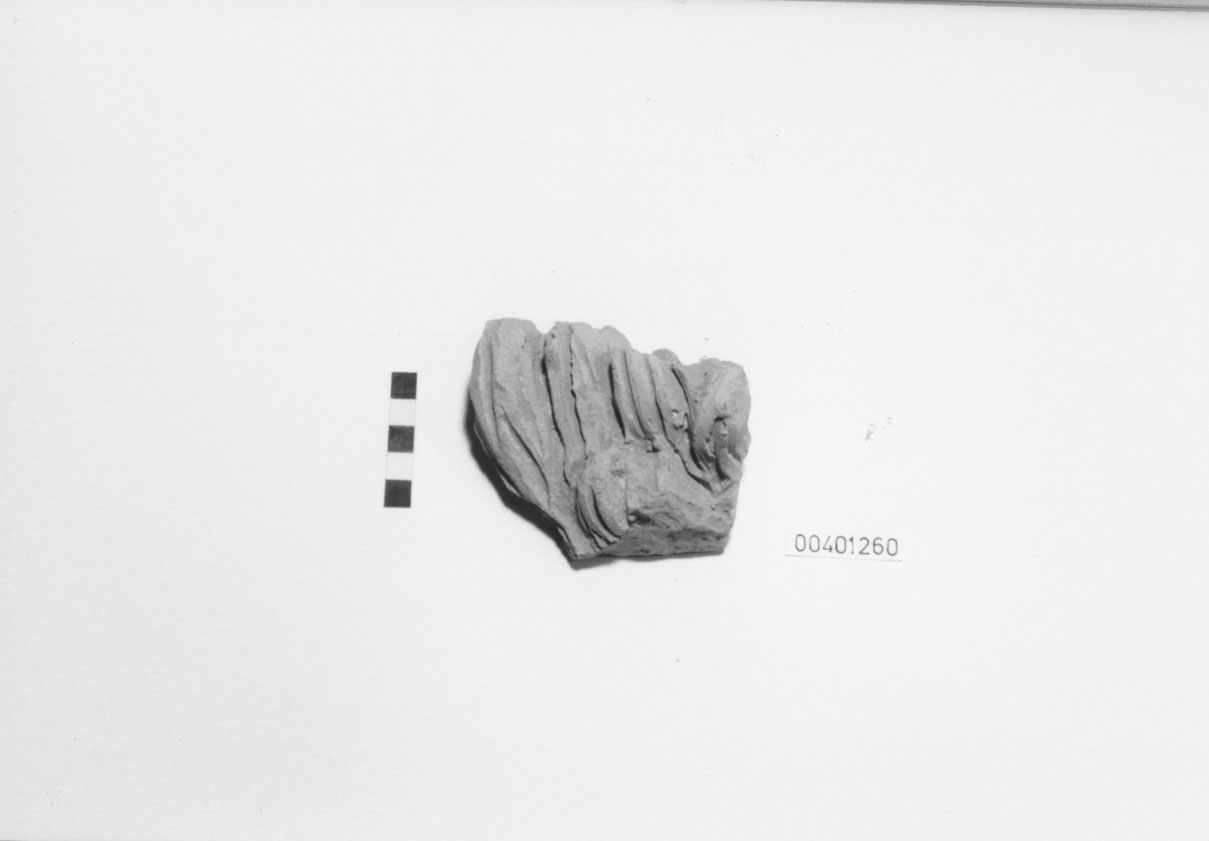 Protome leonina (Gocciolatoio/ frammento) (III a.C, II a.C)