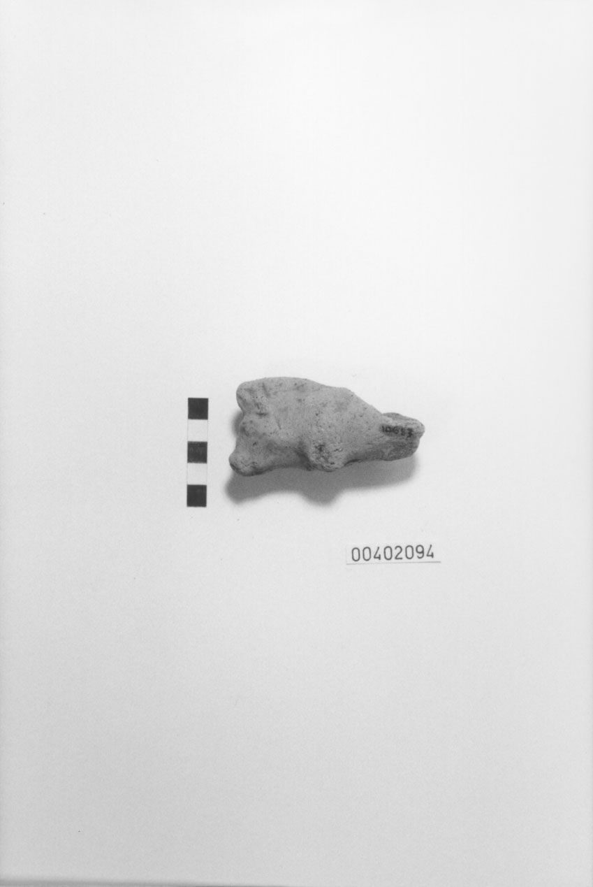 Cinghiale (Statuetta votiva/ frammento) (III a.C, II a.C)