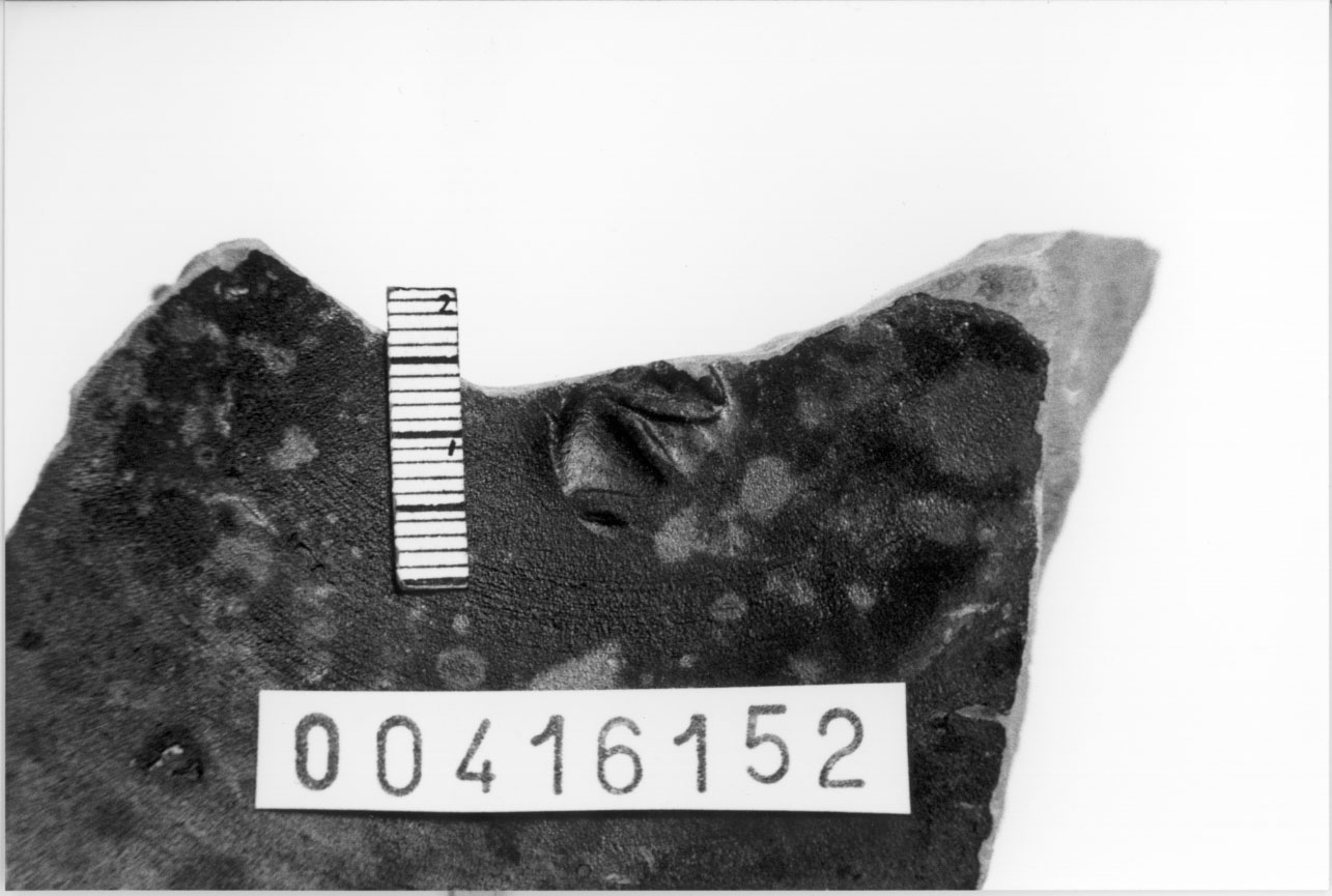 Piede di coppa (Fine, Inizio III a.C, II a.C)