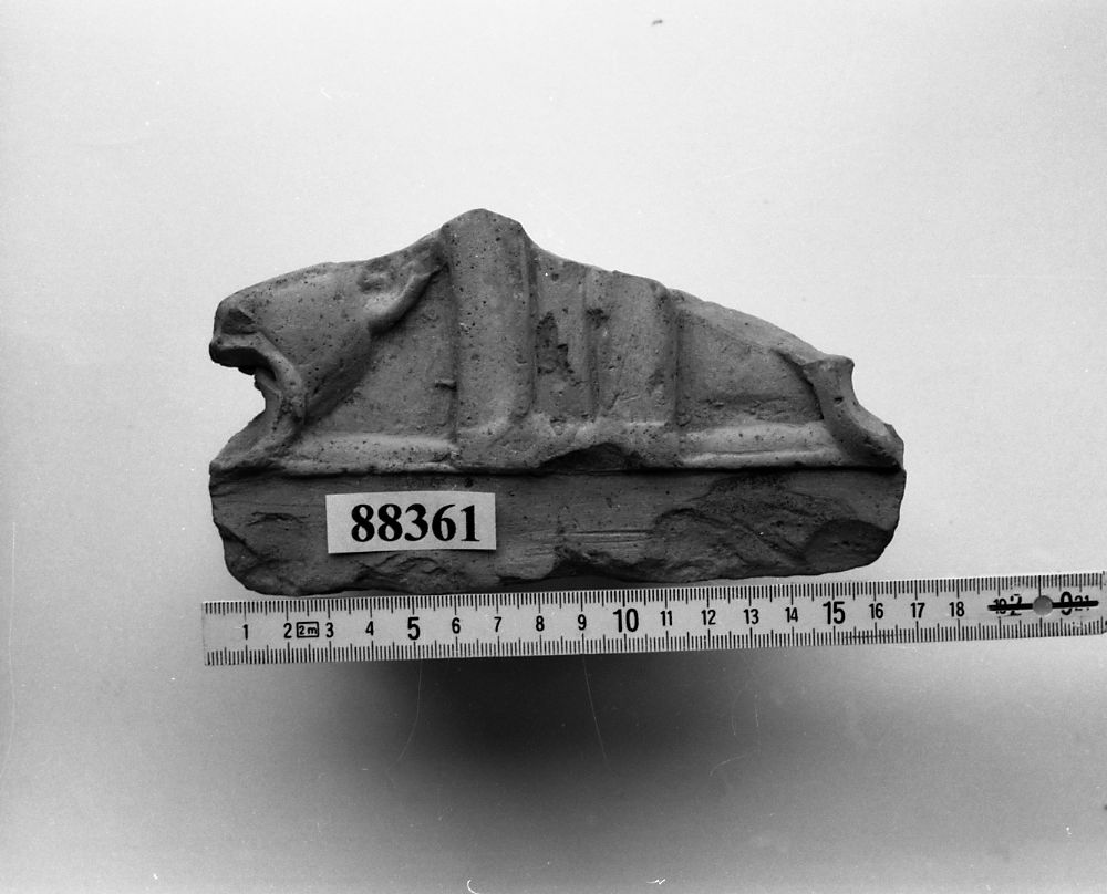 tegola/ frammento, tegola di gronda con lastra decorata (prima metÍ sec. I d.C)