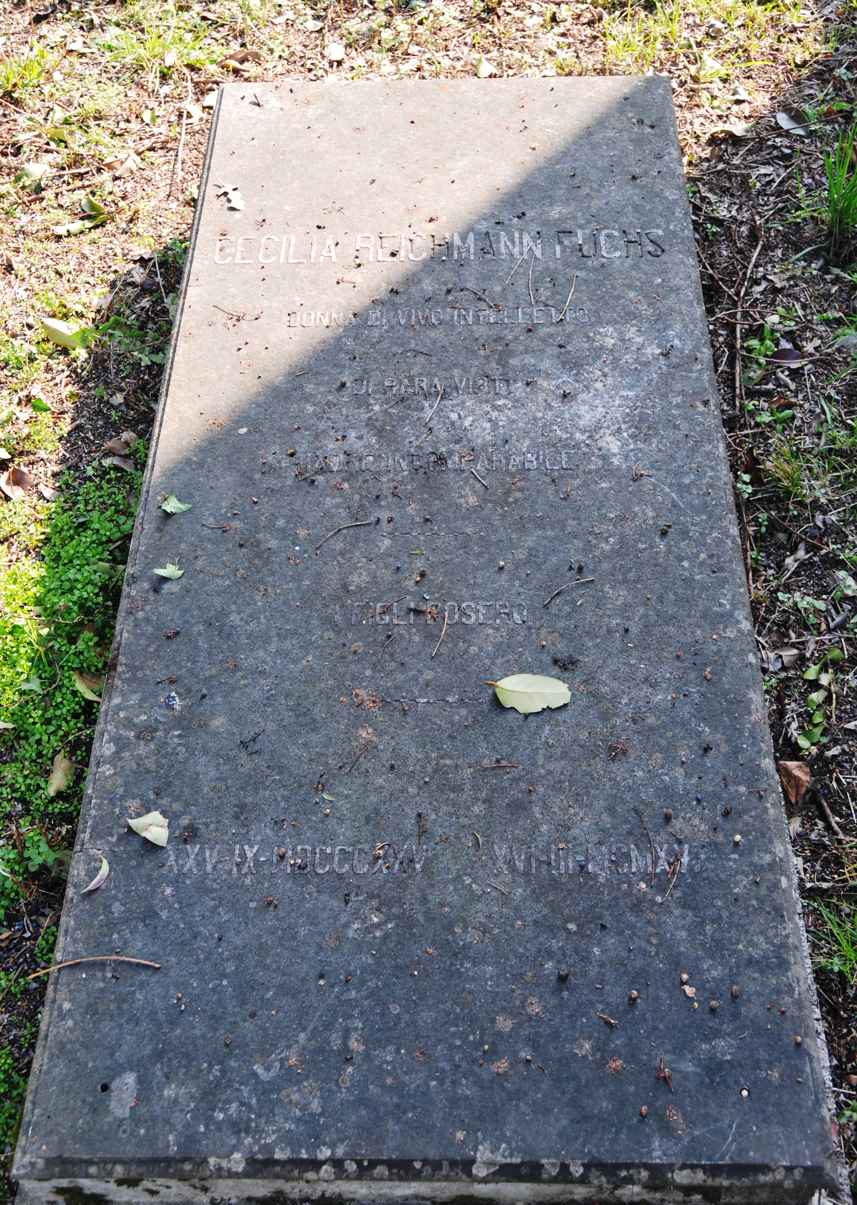 stele funeraria - ambito ebraico (XX)