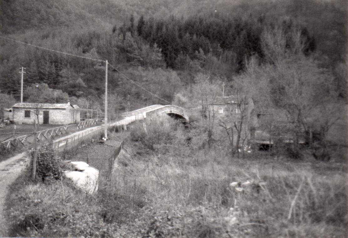 Ponte Nuovo (ponte, a schiena d'asino) - Premilcuore (FC) 