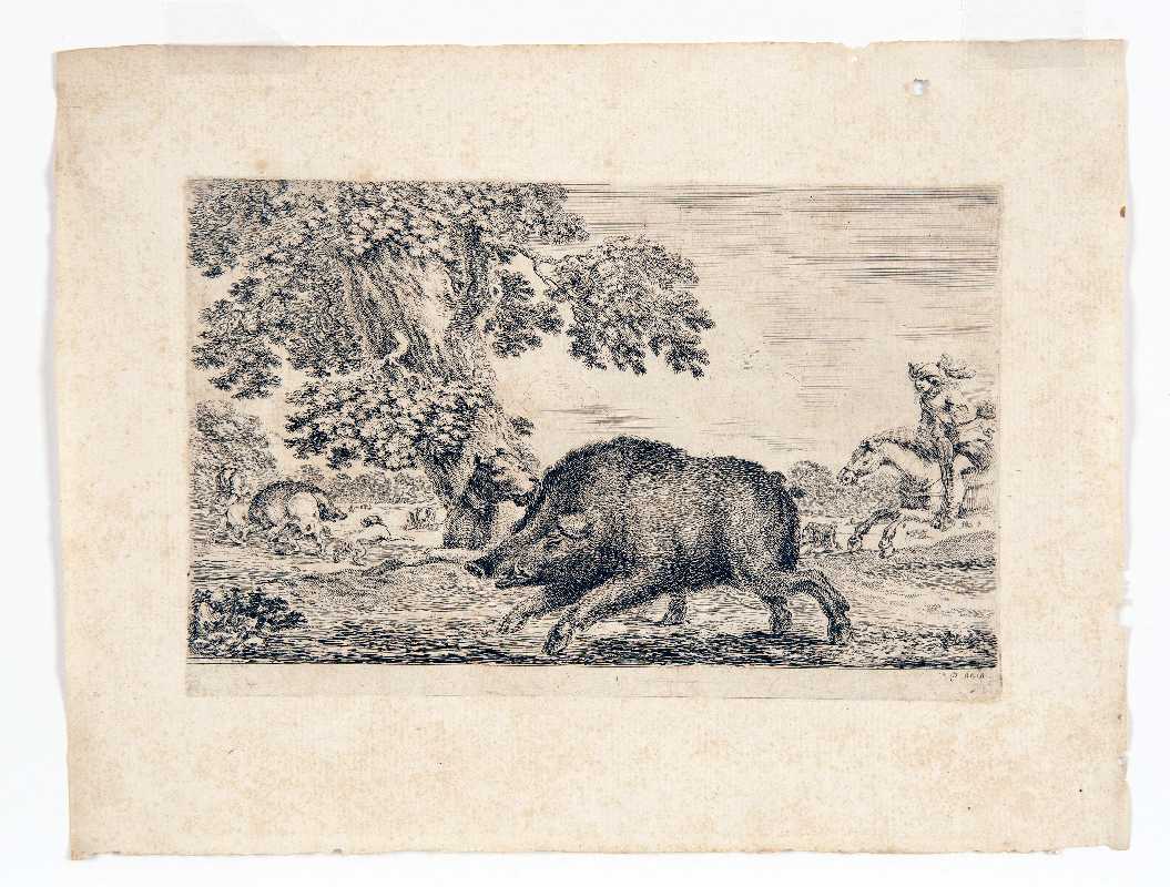 Cinghiale con cane, caccia al cinghiale (stampa) di Della Bella Stefano (attribuito) (sec. XVII)