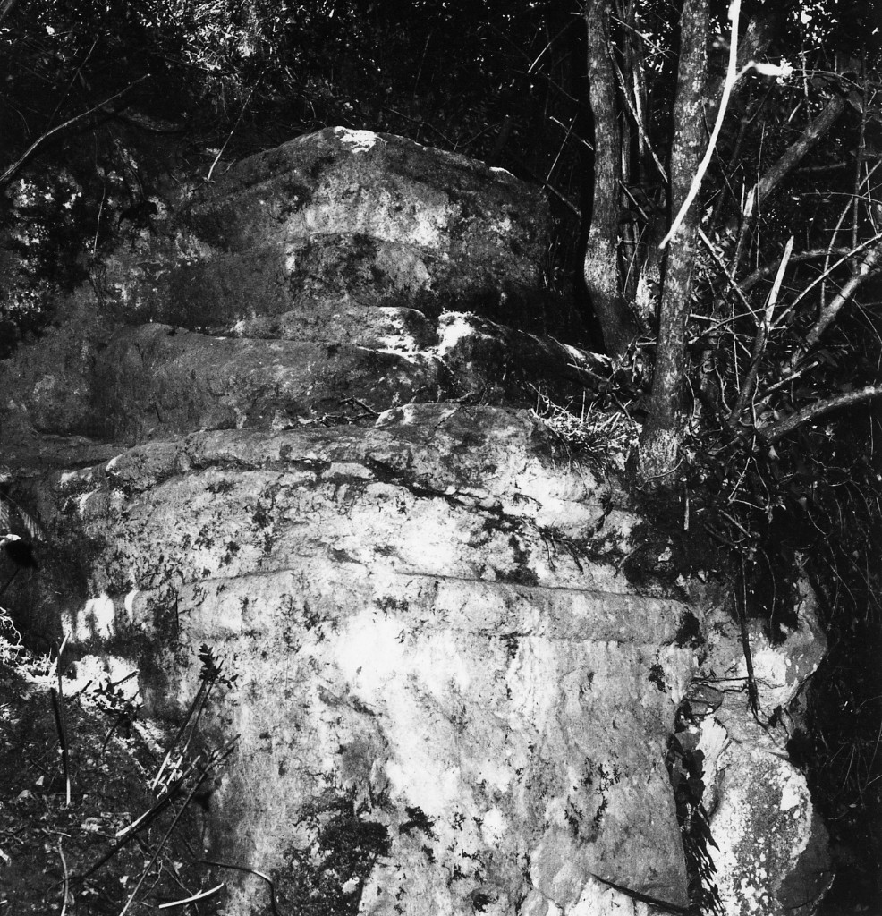 Folonia t.4 (tomba a 'semidado') - Sorano (GR)  (seconda metà III sec. a.C)