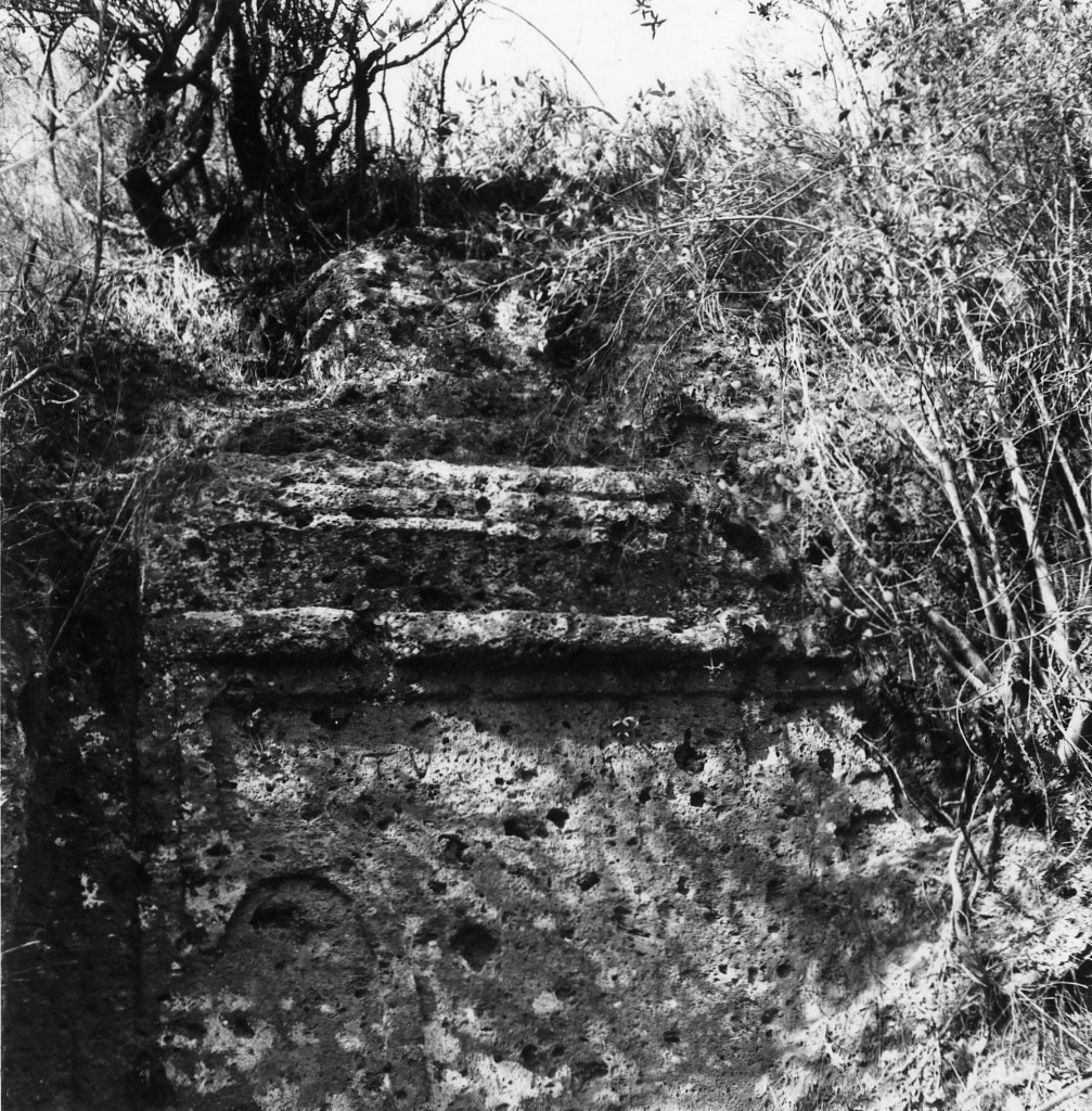 Tollena t.1 (tomba a 'semidado') - Sorano (GR)  (III sec. a.C)