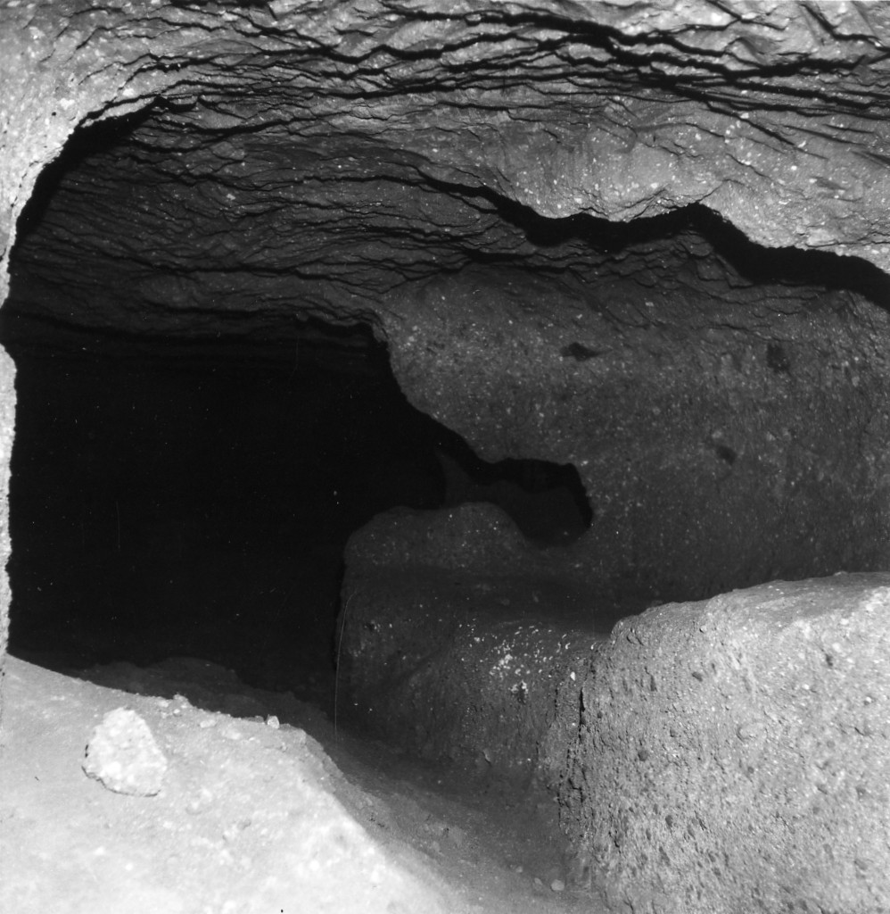 Folonia t.10 (Tomba a 'dado' (?)) - Sorano (GR)  (III-II sec. a.C)