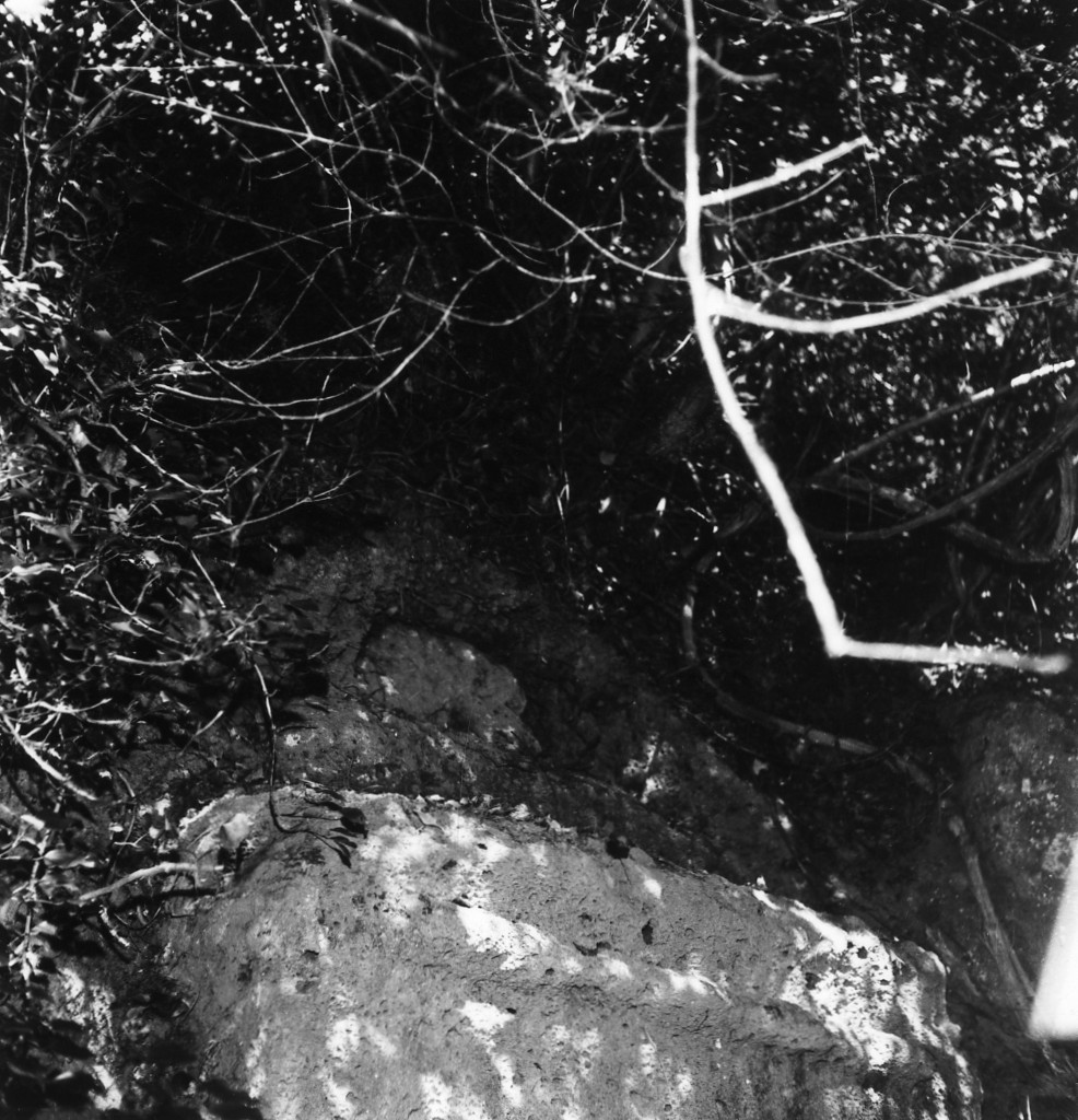 P. Stanziale t.6 (tomba a 'semidado') - Sorano (GR)  (II sec. a.C)