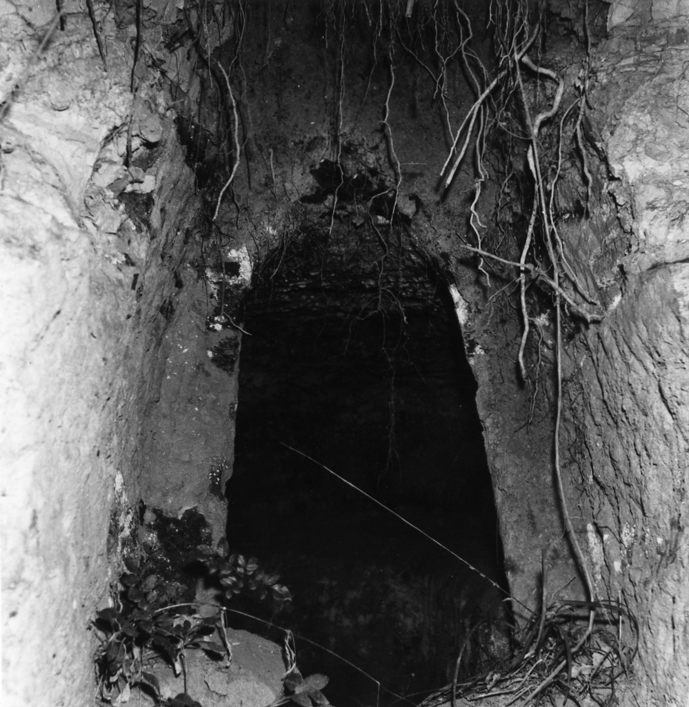 Cavone t.1 (tomba a camera) - Sorano (GR)  (II-I sec. a.C)