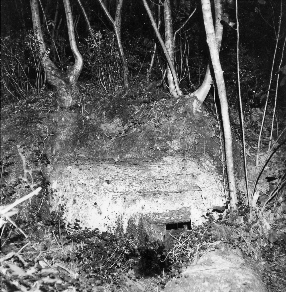 Sopraripa t.2 (tomba a camera) - Sorano (GR)  (VII-VI a.C)