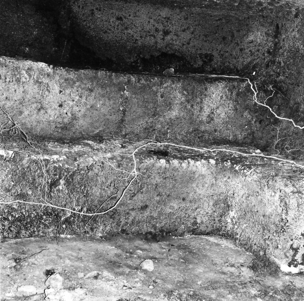 Sopraripa t.3 (tomba a camera) - Sorano (GR)  (III-II sec. a.C)