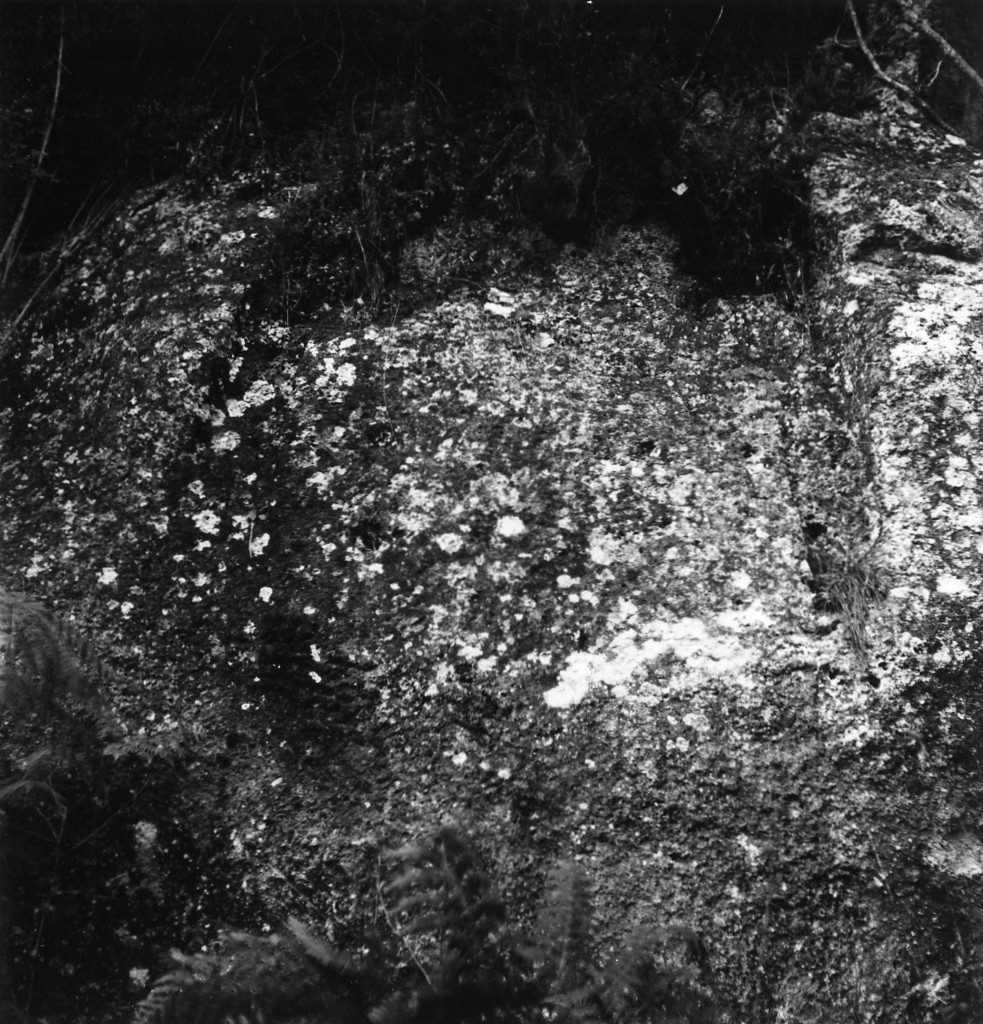 P. Stanziale t.8 (tomba a 'semidado') - Sorano (GR)  (II sec. a.C)