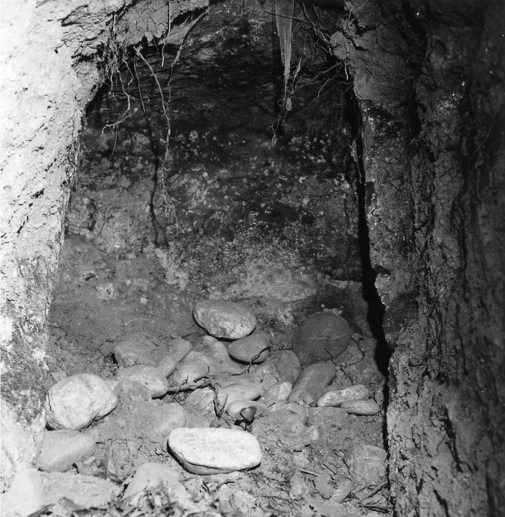 Cavone t.2 (tomba a nicchia) - Sorano (GR)  (III-II sec. a.C)